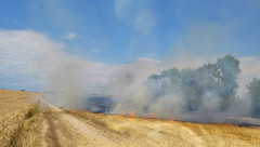 Großer Flächenbrand in Züttlingen